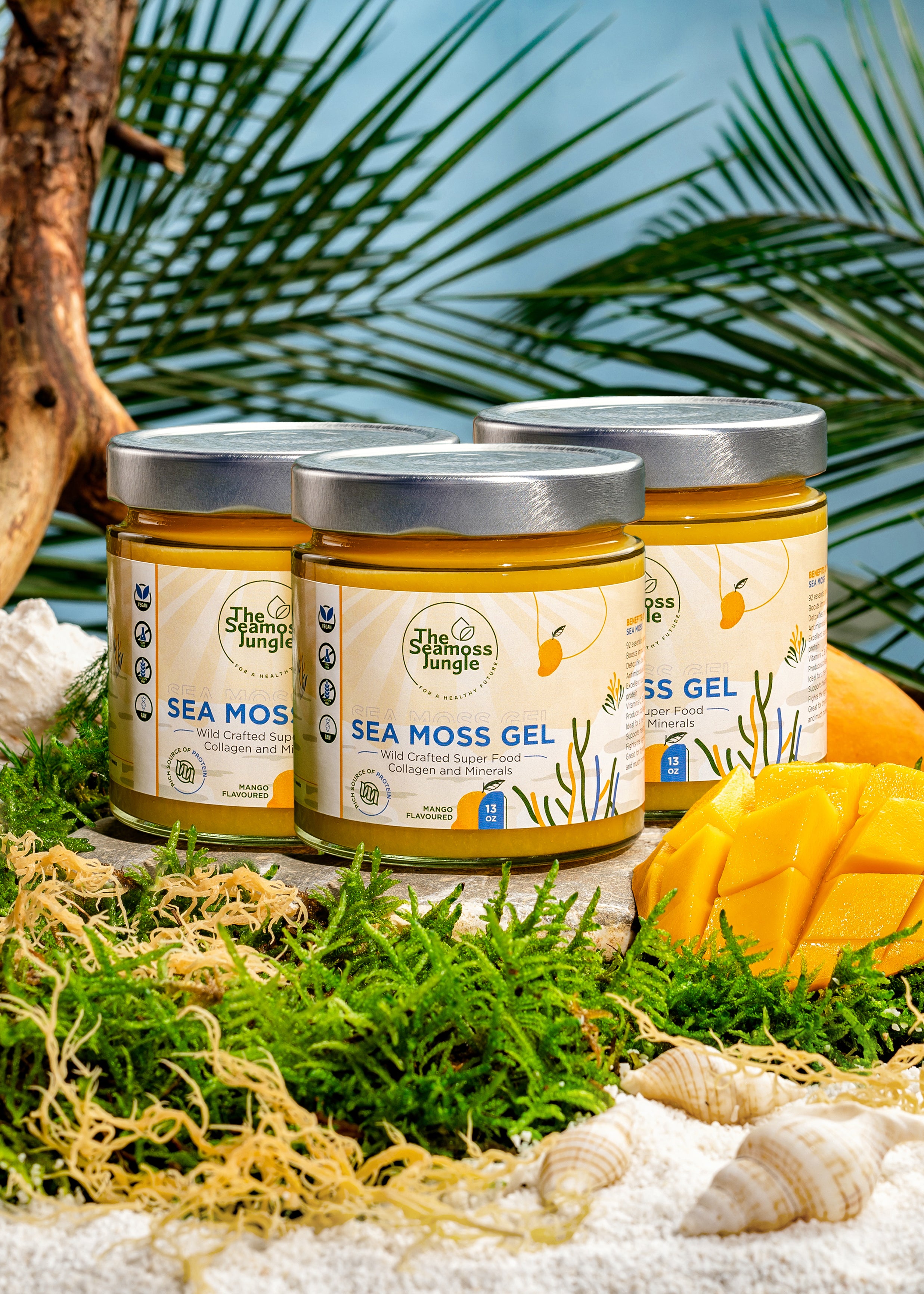 Gel de Musgo Marino - Suministro para 3 Meses