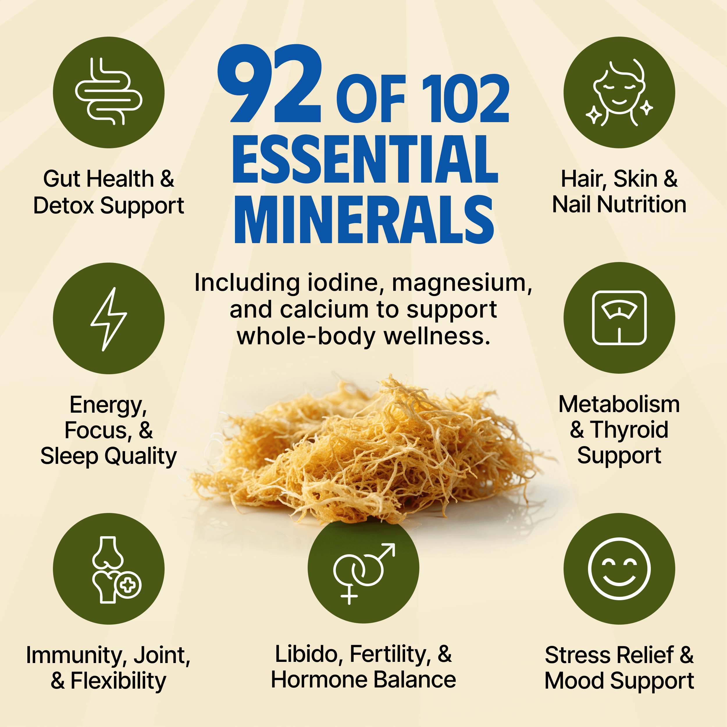 Sea Moss Gel – Golden - 395 ml