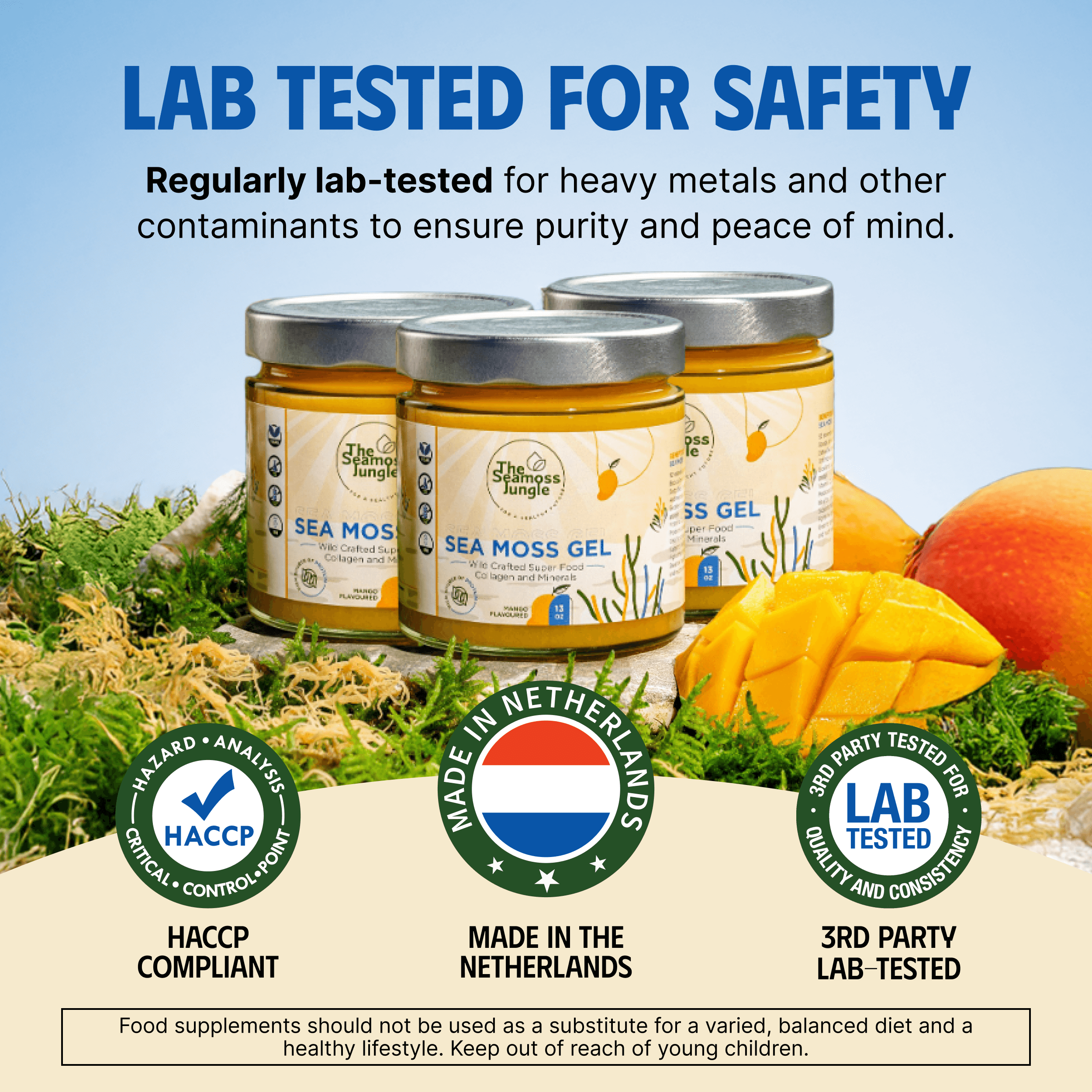 Sea Moss Gel – Mango/Piña - 500 ml