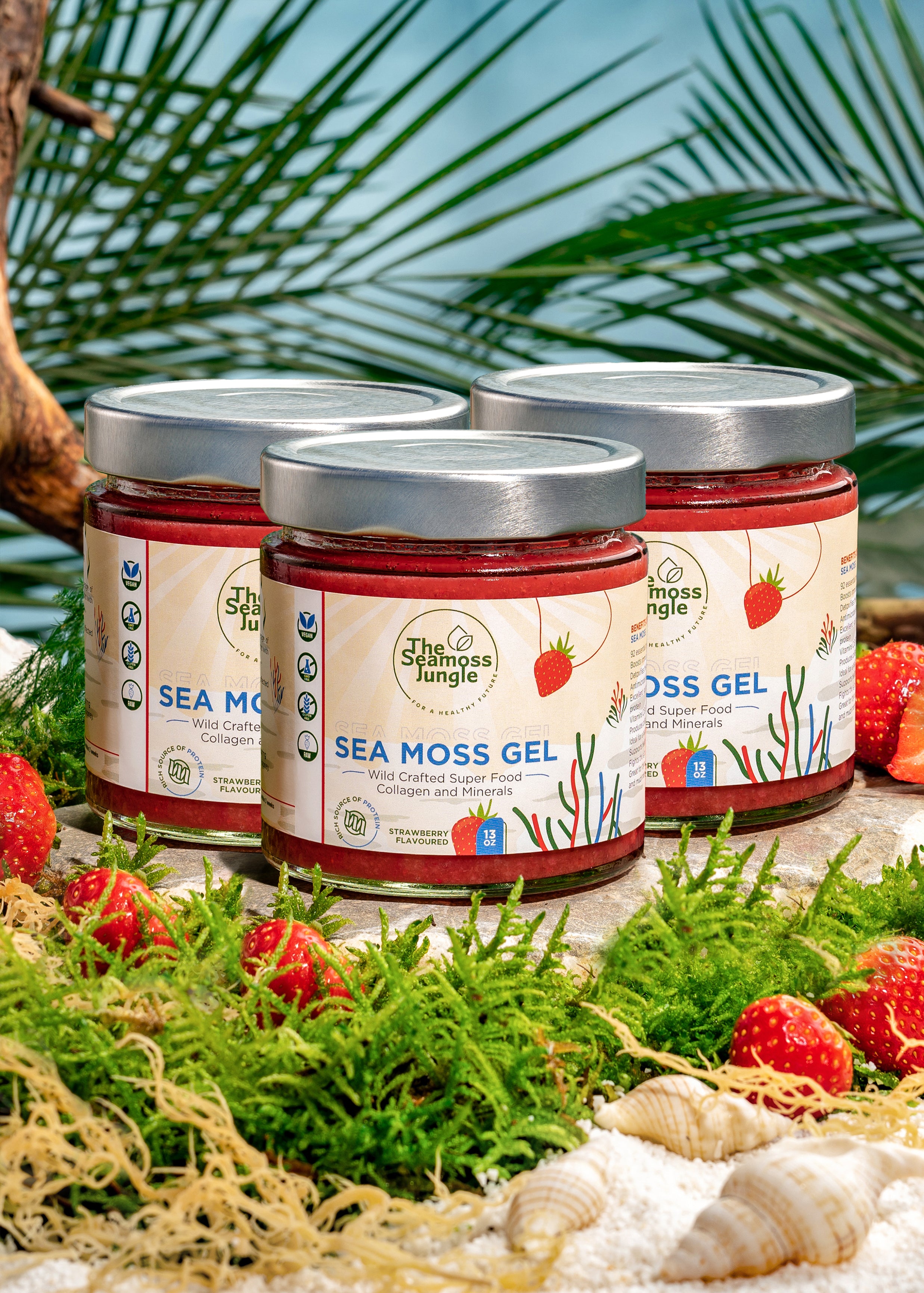 Gel de Musgo Marino - Suministro para 3 Meses